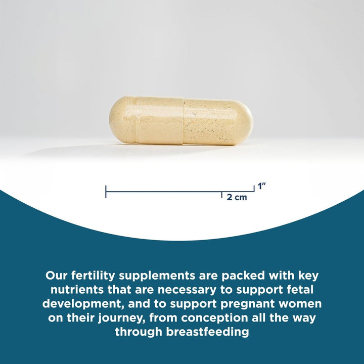 Seeking Health Optimal Prenatal Methyl - Free, Non - Methylated Folate and B12, Pregnancy Support, B6 and Ginger for Digestive Comfort, Supports Healthy Fetal Development, Vegetarian (180 Capsules) - The Oasis of Health