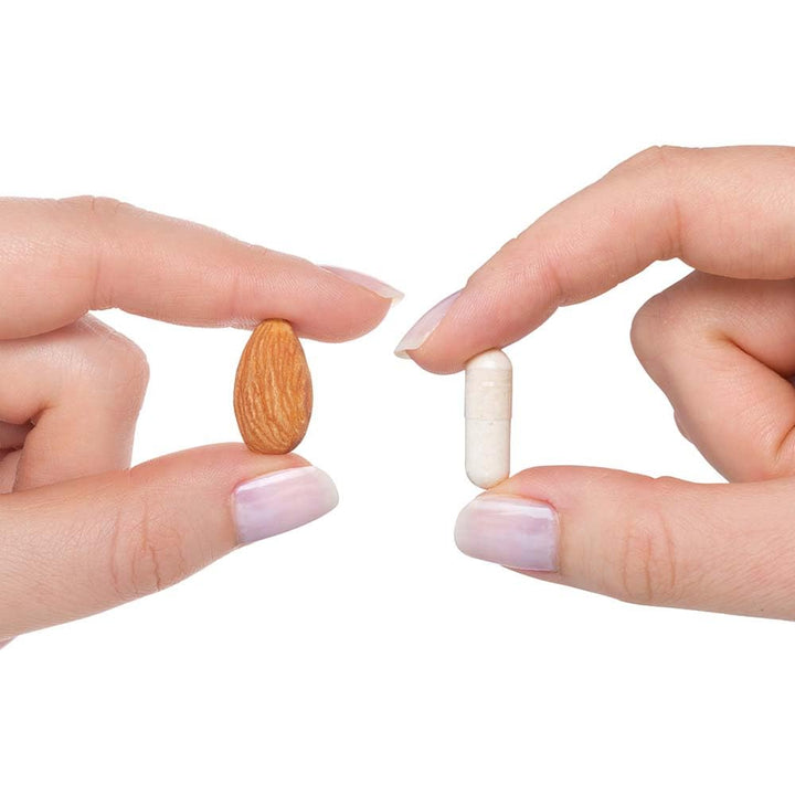 Seeking Health Phosphatidylserine - Brain Support Supplement with Sunflower Oil & Phospholipids - Vegetarian & Gluten - Free Capsules - 150 mg, 60 Capsules - The Oasis of Health