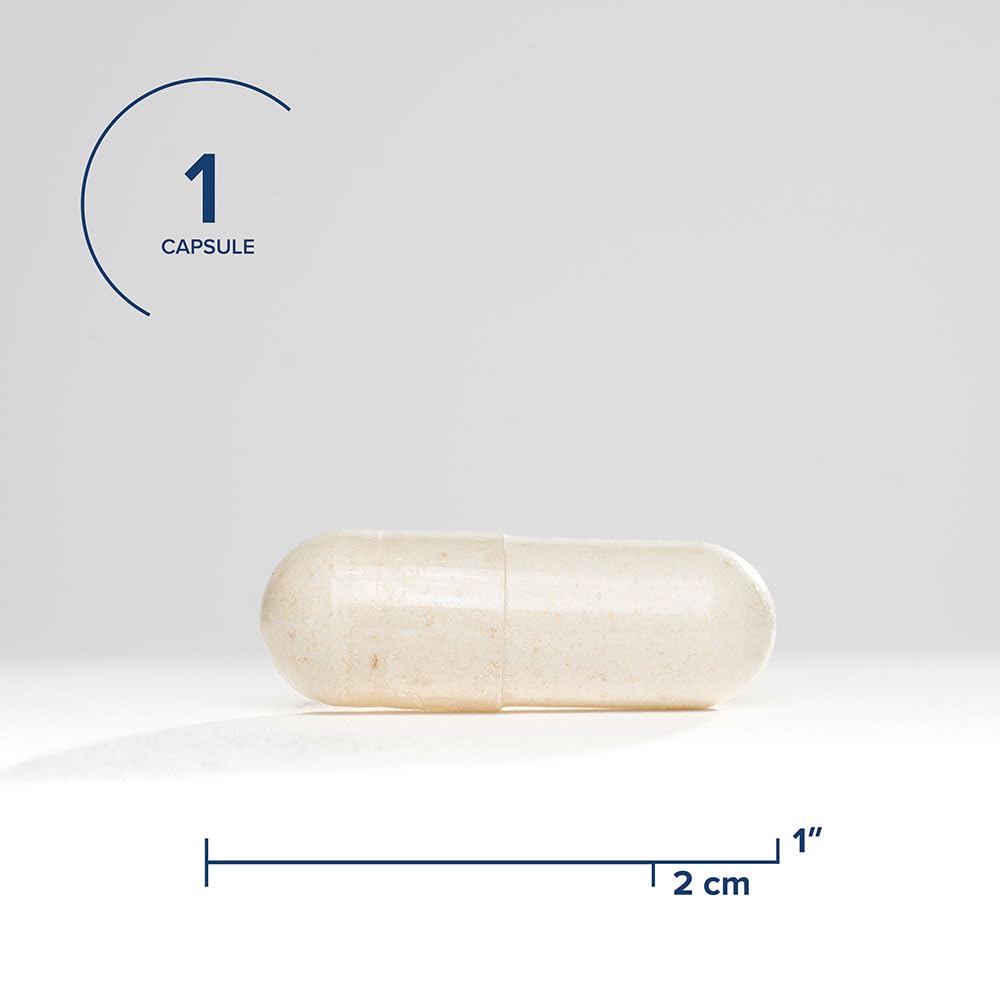 Seeking Health Phosphatidylserine - Brain Support Supplement with Sunflower Oil & Phospholipids - Vegetarian & Gluten - Free Capsules - 150 mg, 60 Capsules - The Oasis of Health