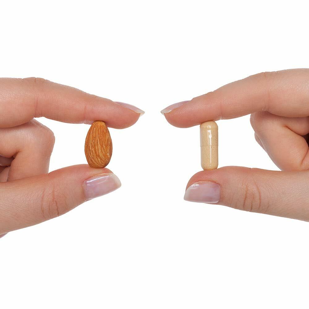 Seeking Health Prenatal Essentials, Methylated Bioavailable Folate and B12, Vitamin D3 and K2, Key Nutrients to Support Pregnancy and Breastfeeding, Vegetarian (60 Capsules)* - The Oasis of Health