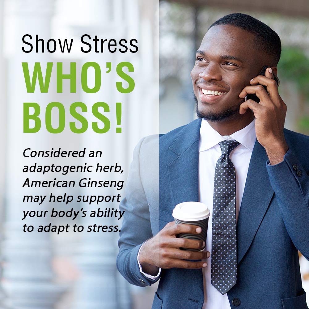 SOLARAY American Ginseng 480 mg | Adaptogenic Herb | Healthy Stress, Energy & Physical Endurance Support | 50 VegCaps - The Oasis of Health