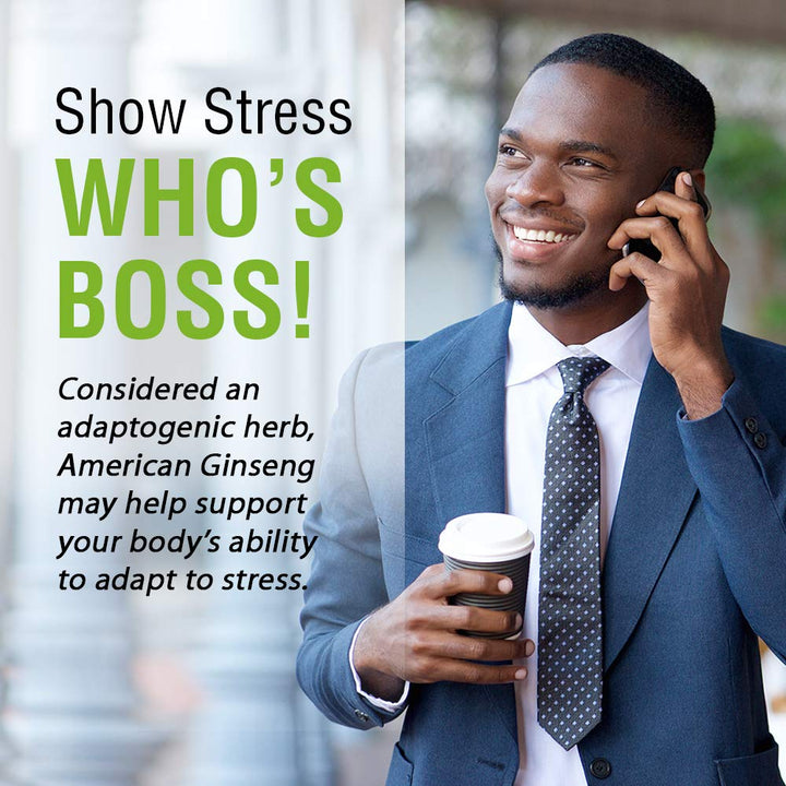 SOLARAY American Ginseng 480 mg | Adaptogenic Herb | Healthy Stress, Energy & Physical Endurance Support | 50 VegCaps - The Oasis of Health