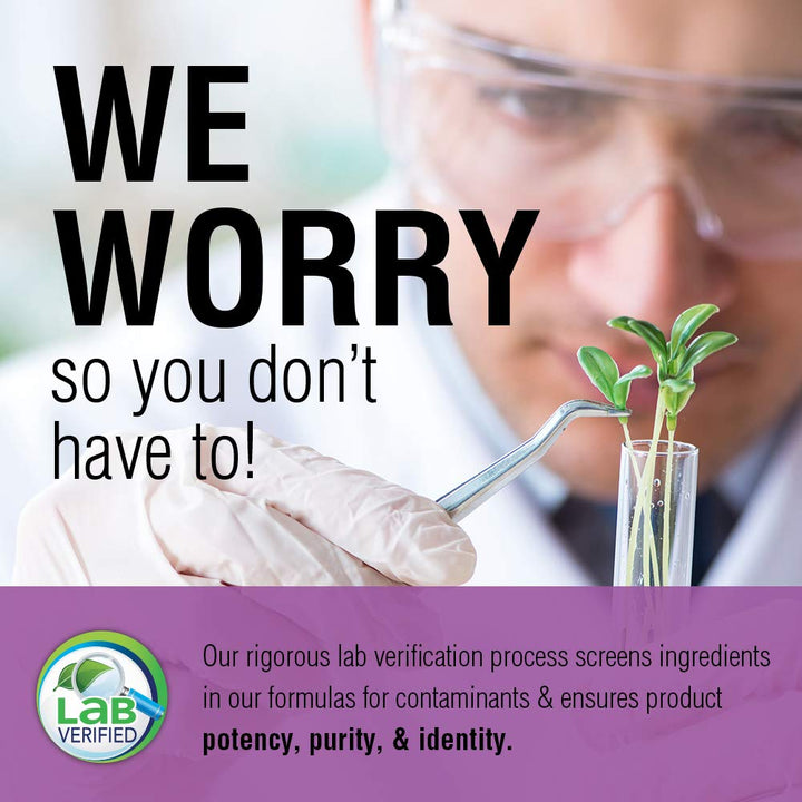 SOLARAY Artichoke Leaf Extract 600mg | Guaranteed Potency | Healthy Liver, Gall Bladder & Digestive Function Support | Lab Verified | 60 VegCaps - The Oasis of Health