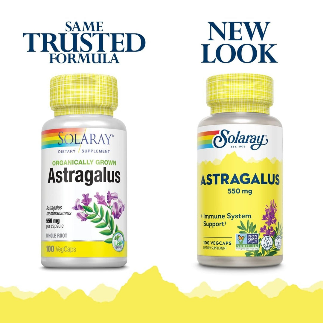 SOLARAY Astragalus Root 550mg | Healthy Immune Function & Stress Support | Adaptogen Herb | Non - GMO & Vegan | 100 VegCaps - The Oasis of Health