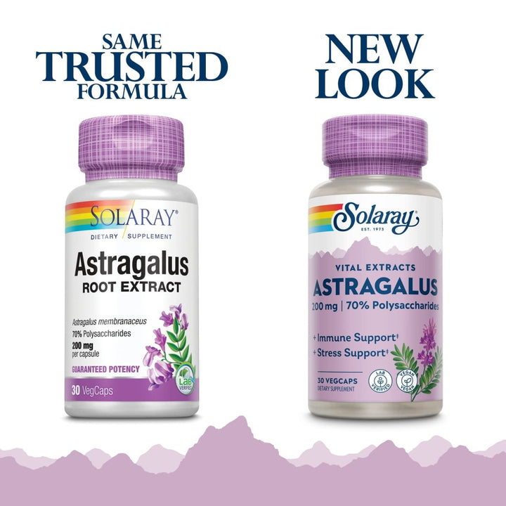 SOLARAY Astragalus Root Extract 200 mg | Adaptogenic & Healthy Immune Function & Stress Support | Non - GMO | 30 VegCaps - The Oasis of Health