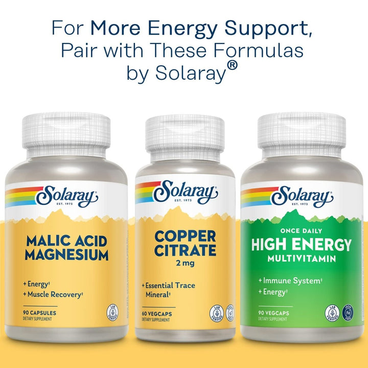 Solaray B - Complex 50mg - Comprehensive B - Vitamin Support for Energy and Overall Well - Being - 100 Count - The Oasis of Health