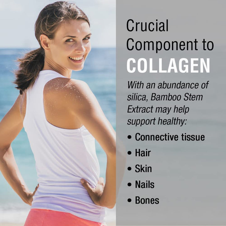 Solaray Bamboo Stem Extract 600mg | Healthy Hair, Skin, Nails, Bones & Connective Tissue Support | Non - GMO, Vegan & Lab Verified | 60 VegCaps - The Oasis of Health