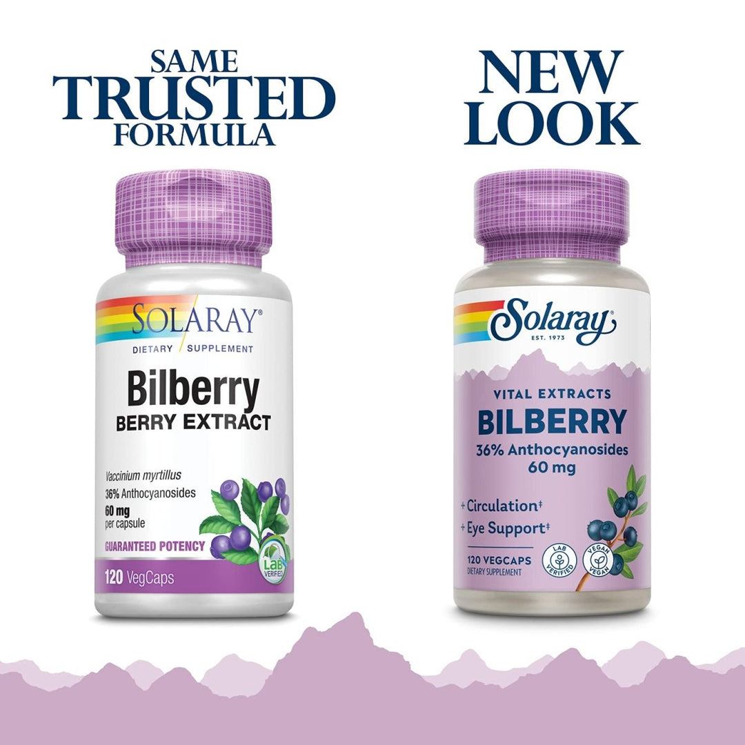 SOLARAY Bilberry Berry Extract 60 mg Per Capsule, Powerful Antioxidant, Guaranteed Potency for Healthy Vision & Circulation Support 120 VegCaps - The Oasis of Health