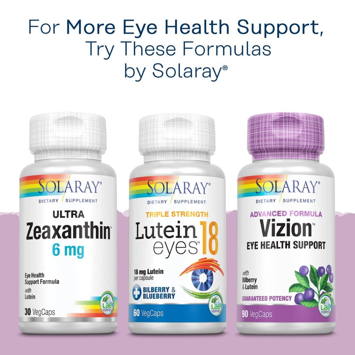 SOLARAY Bilberry Berry Extract 60 mg Per Capsule, Powerful Antioxidant, Guaranteed Potency for Healthy Vision & Circulation Support 120 VegCaps - The Oasis of Health
