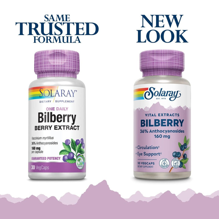 SOLARAY Bilberry Extract 160 mg VegCaps | Eye Health & Circulation Support | 36% Anthocyanosides with Blueberry | Vegan | 30 Count - The Oasis of Health