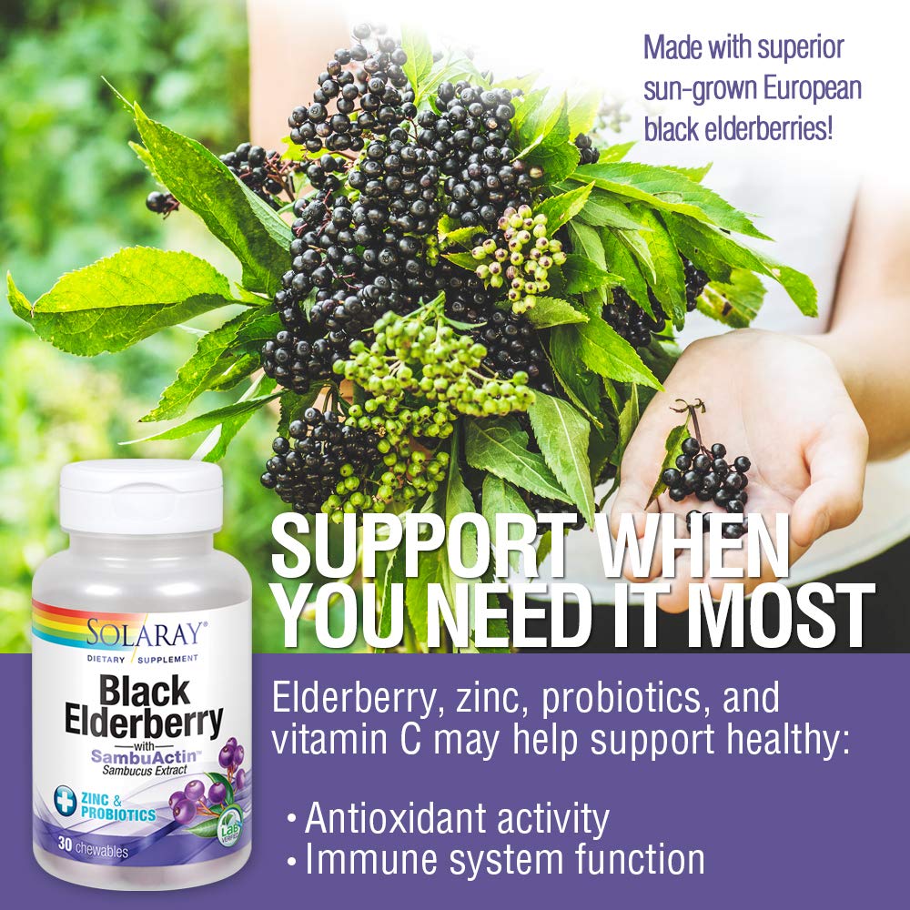 Solaray Black Elderberry Extract with Zinc, Probiotics & Vitamin C | Healthy Immune System Support | 30 Chewable Tablets - The Oasis of Health
