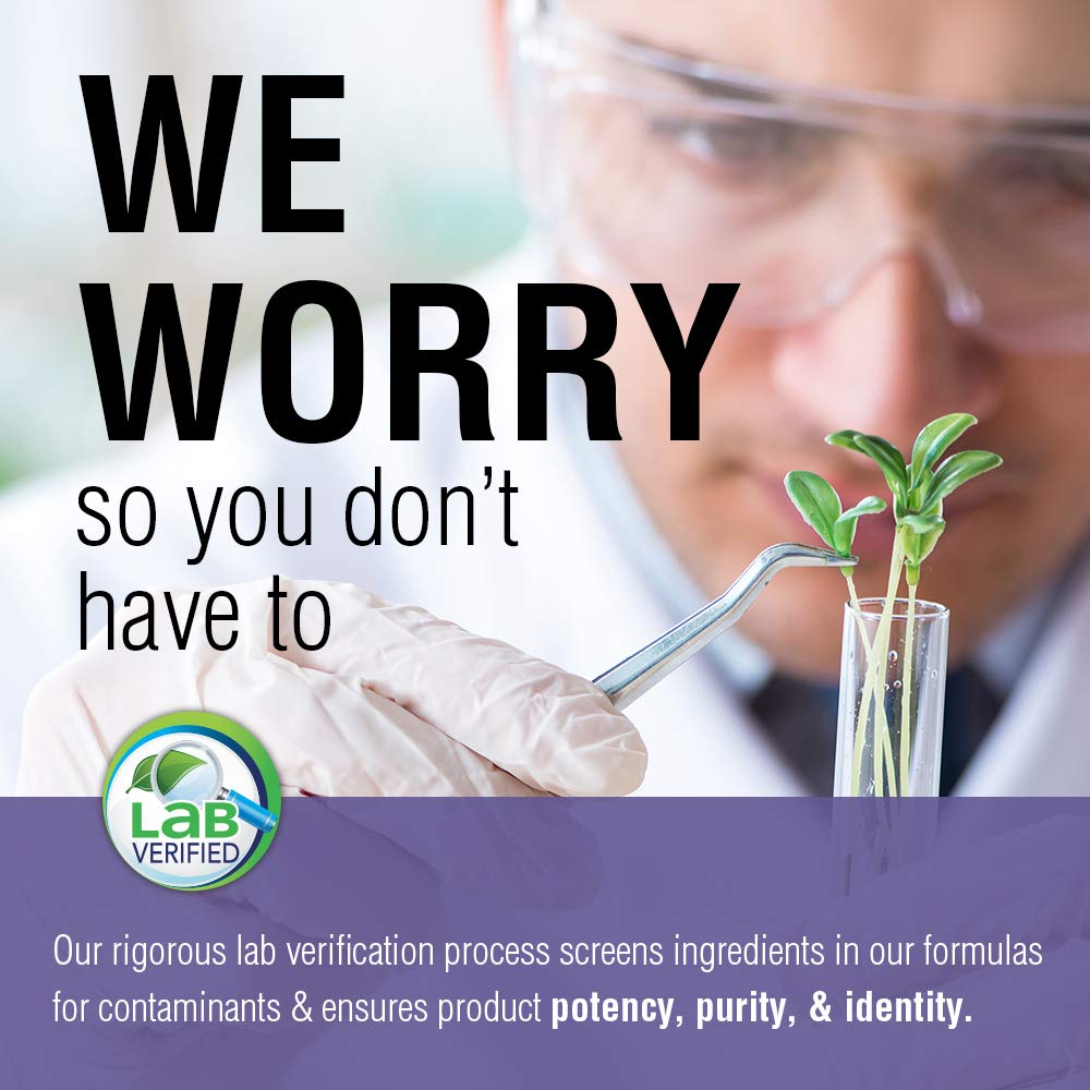 Solaray Black Elderberry Extract with Zinc, Probiotics & Vitamin C | Healthy Immune System Support | 30 Chewable Tablets - The Oasis of Health