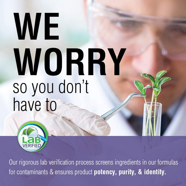 Solaray Black Elderberry Extract with Zinc, Probiotics & Vitamin C | Healthy Immune System Support | 30 Chewable Tablets - The Oasis of Health