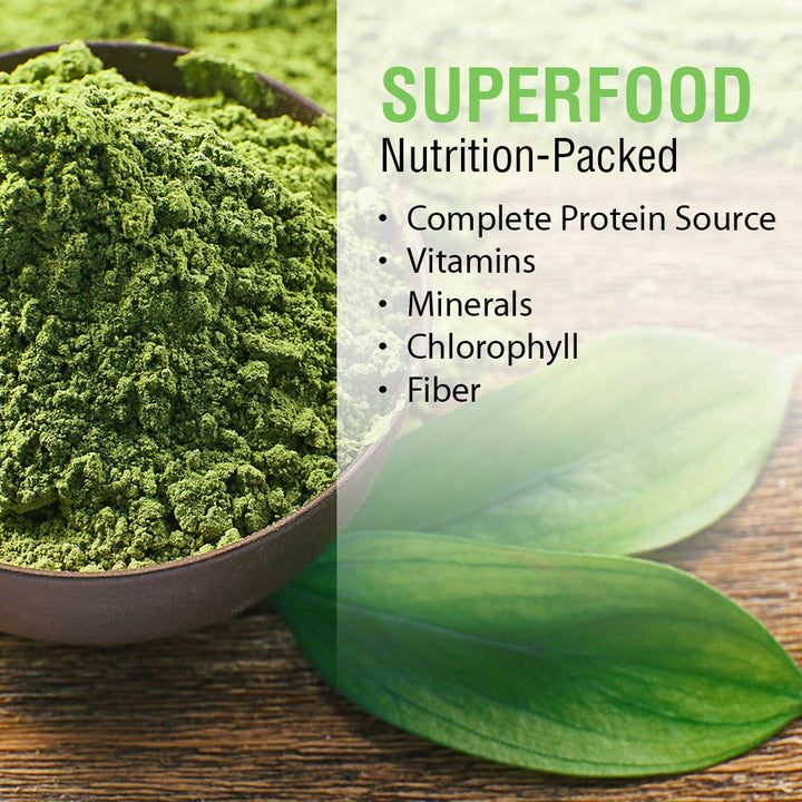 SOLARAY Broken Cell Chlorella 410 mg | Nutrient - Rich Superfood w/Naturally Occurring Protein, Vitamins, Minerals, Chlorophyll | Non - GMO | 100 VegCaps - The Oasis of Health