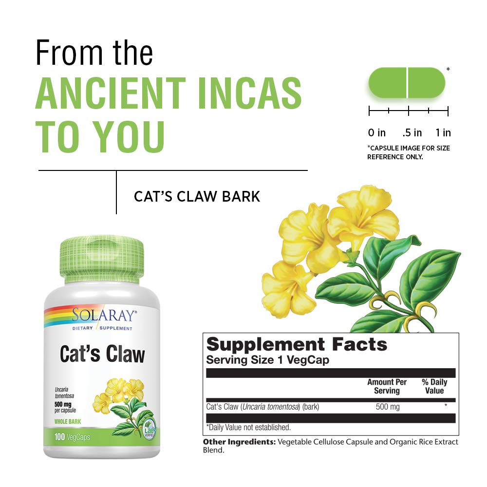 Solaray Cat's Claw Bark 500mg | Healthy Immune & Digestive System Function Support | May Help Protect Brain Function | Joint Health Support | 100ct - The Oasis of Health