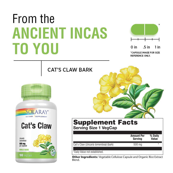 Solaray Cat's Claw Bark 500mg | Healthy Immune & Digestive System Function Support | May Help Protect Brain Function | Joint Health Support | 100ct - The Oasis of Health