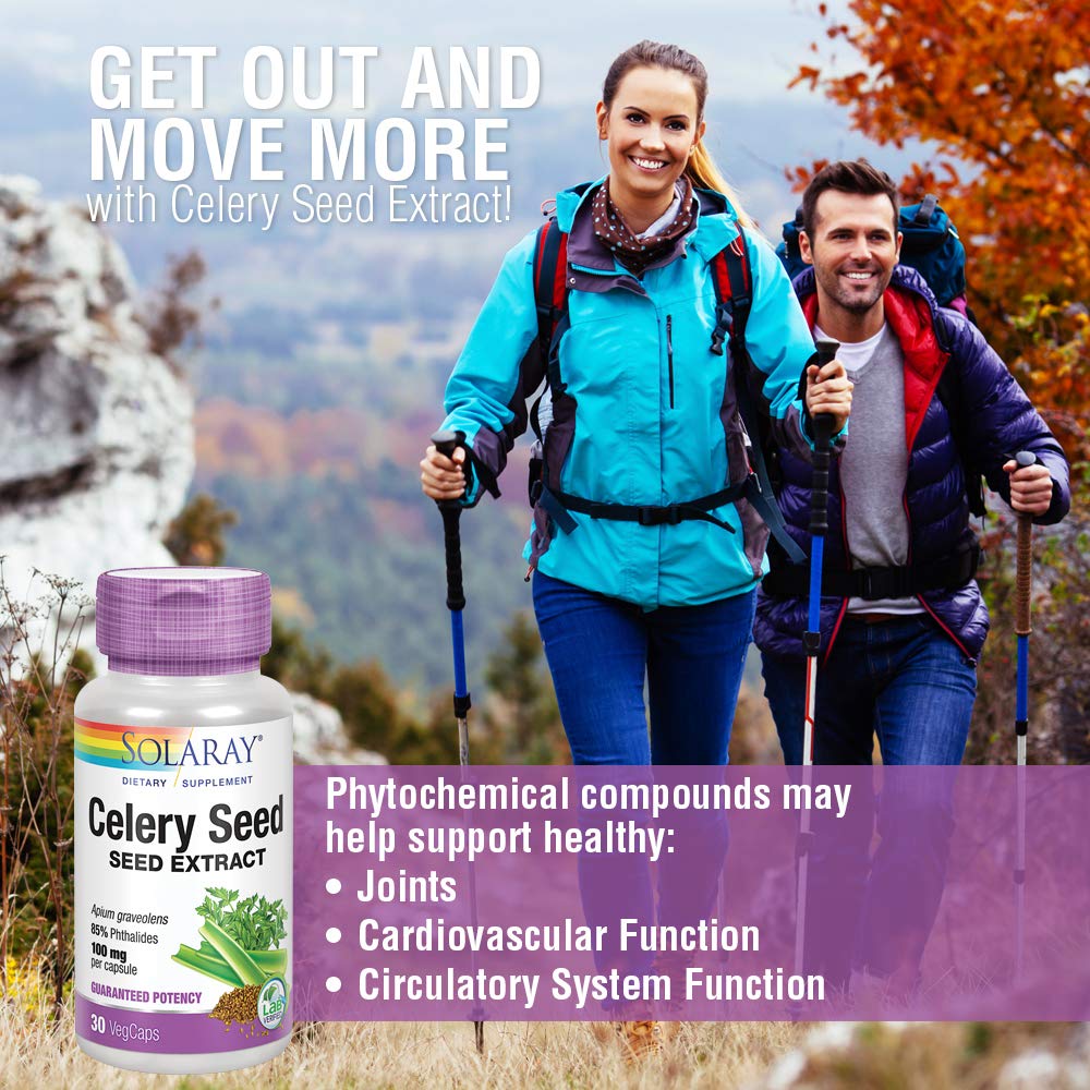 SOLARAY Celery Seed Extract 100 mg | 85% Phthalides | Overall Joint Health Support | Non - GMO, Vegan | 30 VegCaps - The Oasis of Health