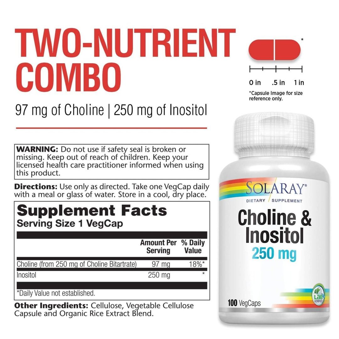 Solaray Choline & Inositol 250 mg | Two - Nutrient Combo for Healthy Fat Metabolism, Brain Function Support | 100 VegCaps - The Oasis of Health
