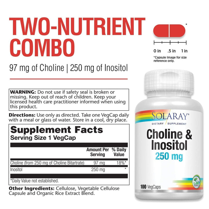 Solaray Choline & Inositol 250 mg | Two - Nutrient Combo for Healthy Fat Metabolism, Brain Function Support | 100 VegCaps - The Oasis of Health