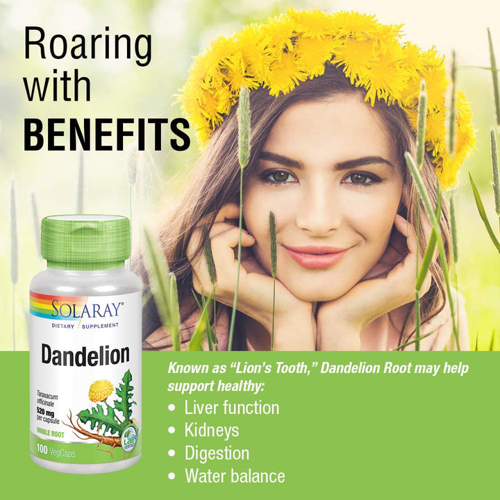 SOLARAY Dandelion Root 1040mg | Healthy Liver, Kidney, Digestion & Water Balance Support | Whole Root | Non - GMO, Vegan & Lab Verified | 100 VegCaps - The Oasis of Health