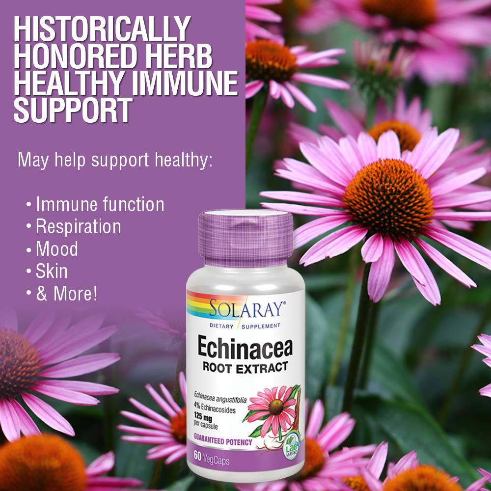 SOLARAY Echinacea Angustifolia Root Extract 125 mg | Healthy Immune & Respiratory Function Support | 60 VegCaps - The Oasis of Health