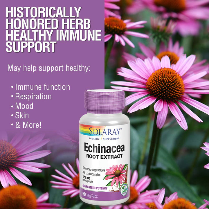 SOLARAY Echinacea Angustifolia Root Extract 125 mg | Healthy Immune & Respiratory Function Support | 60 VegCaps - The Oasis of Health