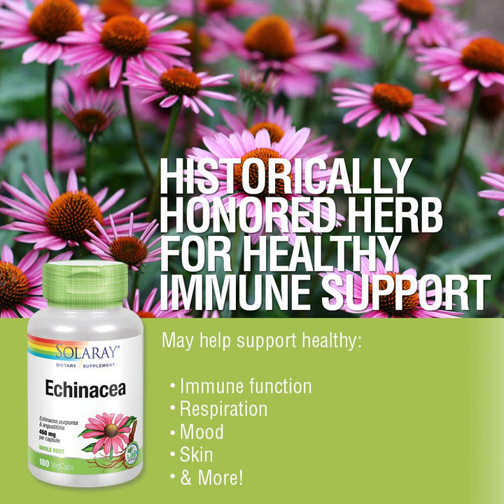 SOLARAY Echinacea Purpurea & Angustifolia Root 460 mg | Healthy Immune & Respiratory Function Support | 180 VegCaps - The Oasis of Health