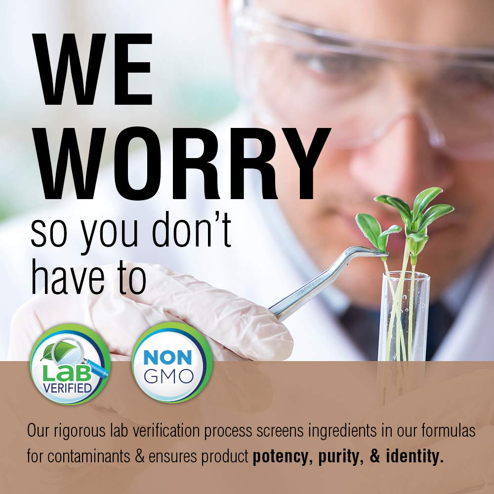 SOLARAY Fermented Chaga Mushroom 500 mg | Healthy Immune Function Support | 30 Servings | 60 VegCaps - The Oasis of Health