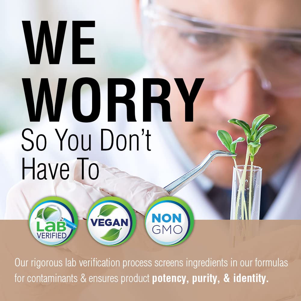 Solaray Fermented Lion's Mane Mushroom - 60 Vegcaps - The Oasis of Health