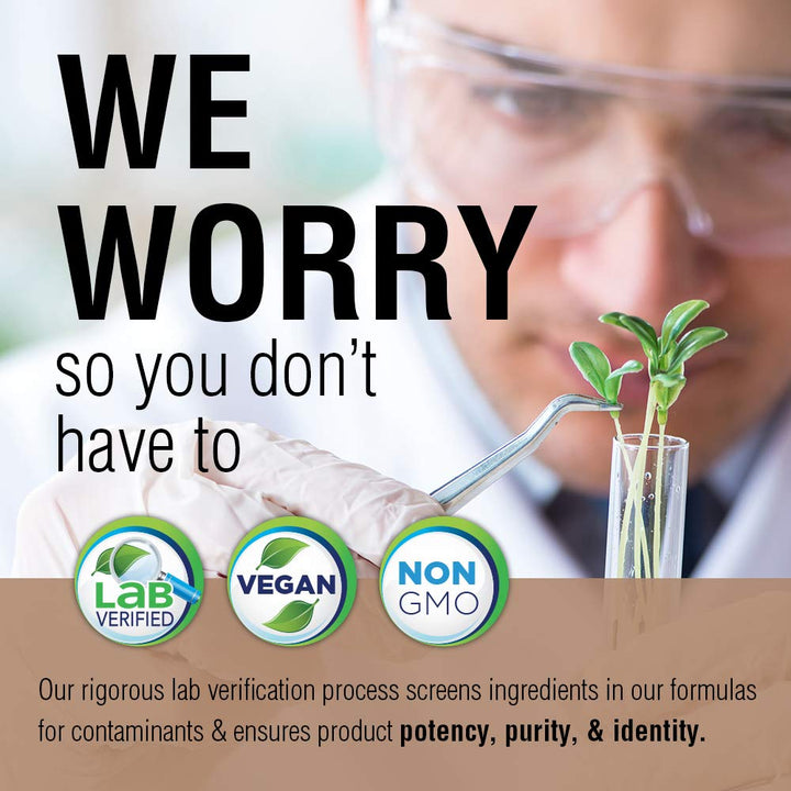 Solaray Fermented Mushroom Complete 1200 mg | Healthy Immune Function Support | 30 Serv | 60 VegCaps - The Oasis of Health