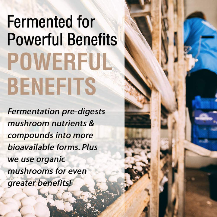 Solaray Fermented Mushroom Complete 1200 mg | Healthy Immune Function Support | 30 Serv | 60 VegCaps - The Oasis of Health