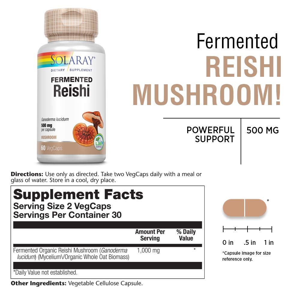 SOLARAY Fermented Reishi Mushroom 500mg | Healthy Immune, Heart & Brain Function Support | Energy & Mood Supplement | 60 VegCaps - The Oasis of Health