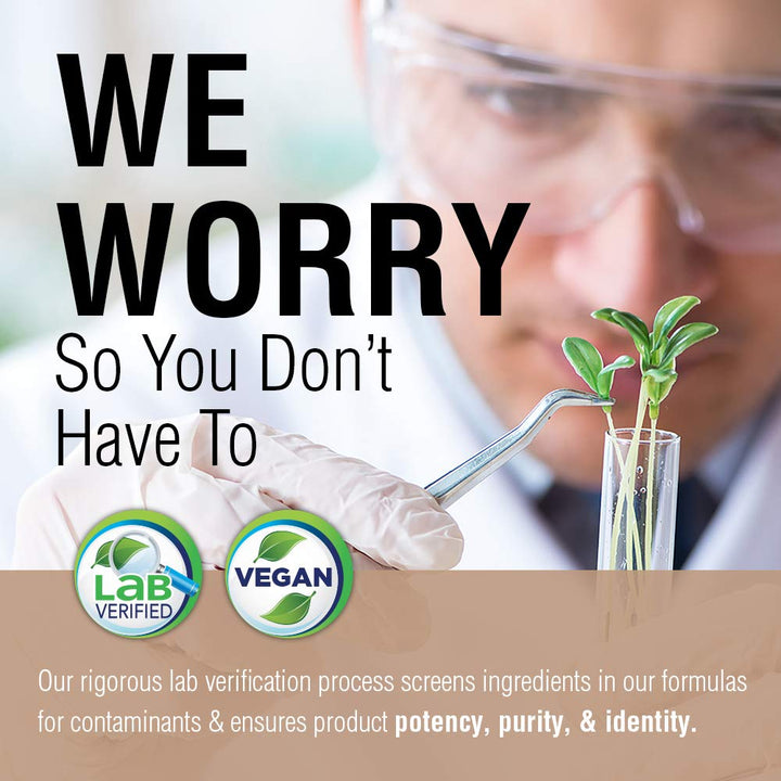 SOLARAY Fermented Reishi Mushroom 500mg | Healthy Immune, Heart & Brain Function Support | Energy & Mood Supplement | 60 VegCaps - The Oasis of Health