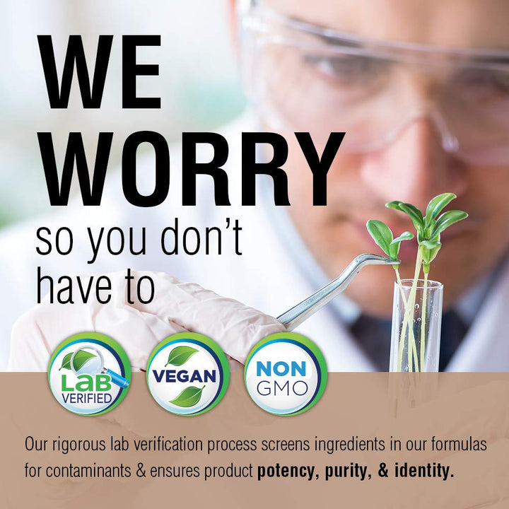 SOLARAY Fermented Shiitake Mushroom 500mg | Healthy Immune, Liver & Digestive Function Support | Non - GMO & Vegan | 60 VegCaps - The Oasis of Health