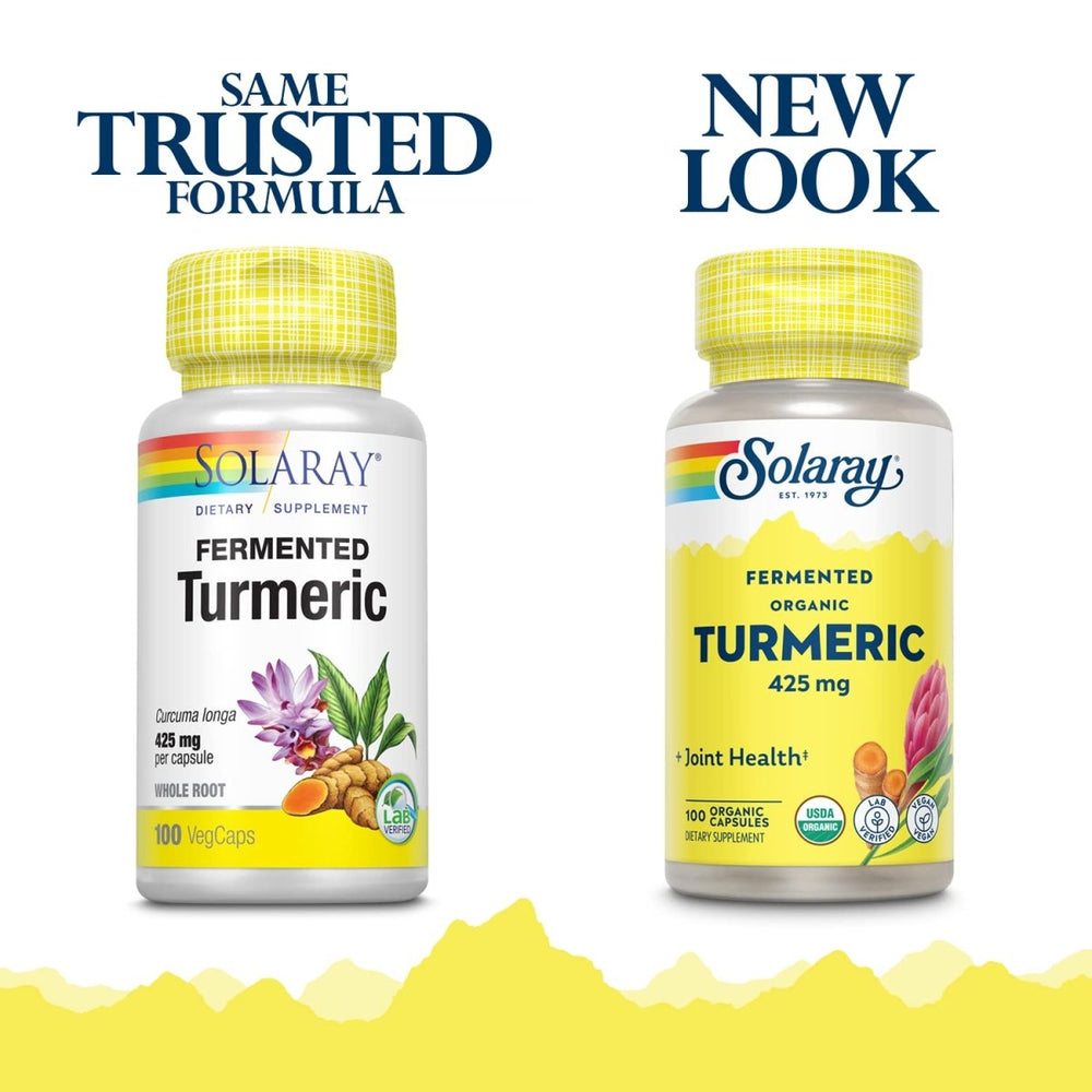 SOLARAY Fermented Turmeric Root 500mg | 100 VegCaps - The Oasis of Health