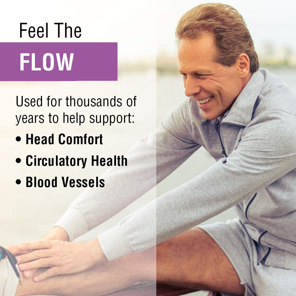 SOLARAY Feverfew Extract 400 mg | Healthy Circulation & Blood Vessels, Head Comfort Support | Non - GMO | 60 VegCaps - The Oasis of Health