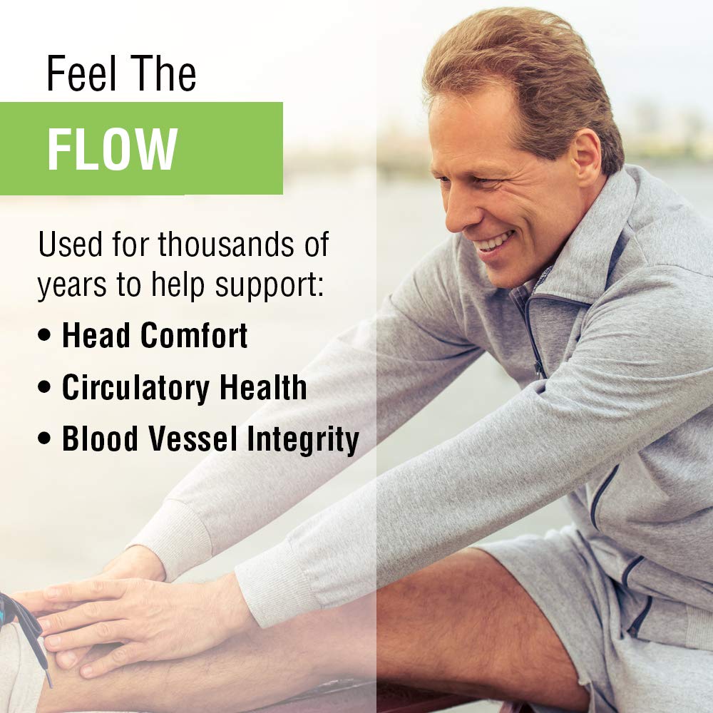 SOLARAY Feverfew Leaf 380 mg | Healthy Circulation, Blood Vessel Tone, Comfort Support | Non - GMO & Vegan | 100 VegCaps - The Oasis of Health