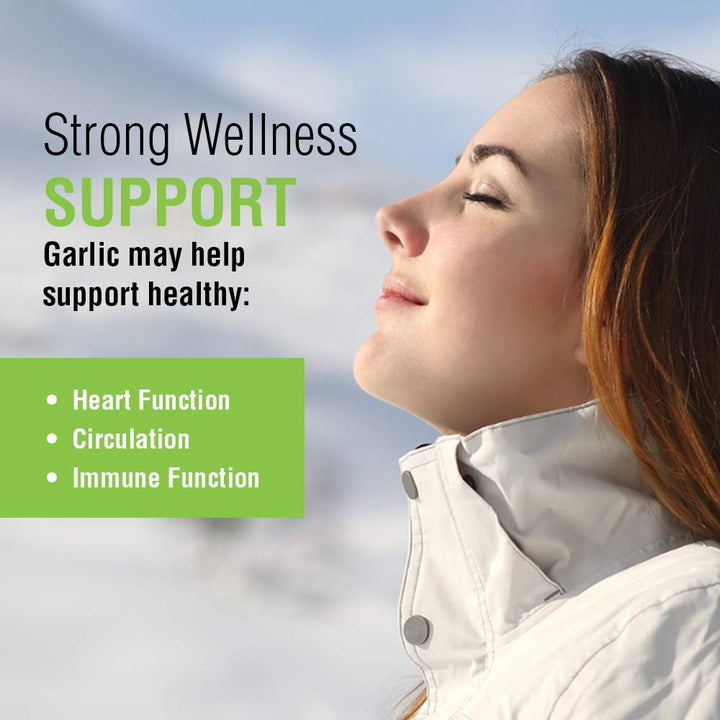 SOLARAY Garlic Bulb 500 mg | Healthy Immune, Circulatory & Cardiovascular Systems Support | Vegan, Non - GMO | 100 VegCaps - The Oasis of Health