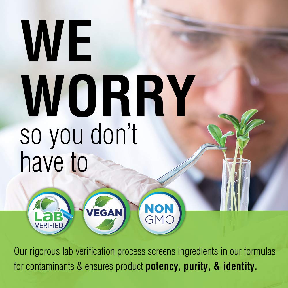 SOLARAY Garlic Bulb 500 mg | Healthy Immune, Circulatory & Cardiovascular Systems Support | Vegan, Non - GMO | 100 VegCaps - The Oasis of Health