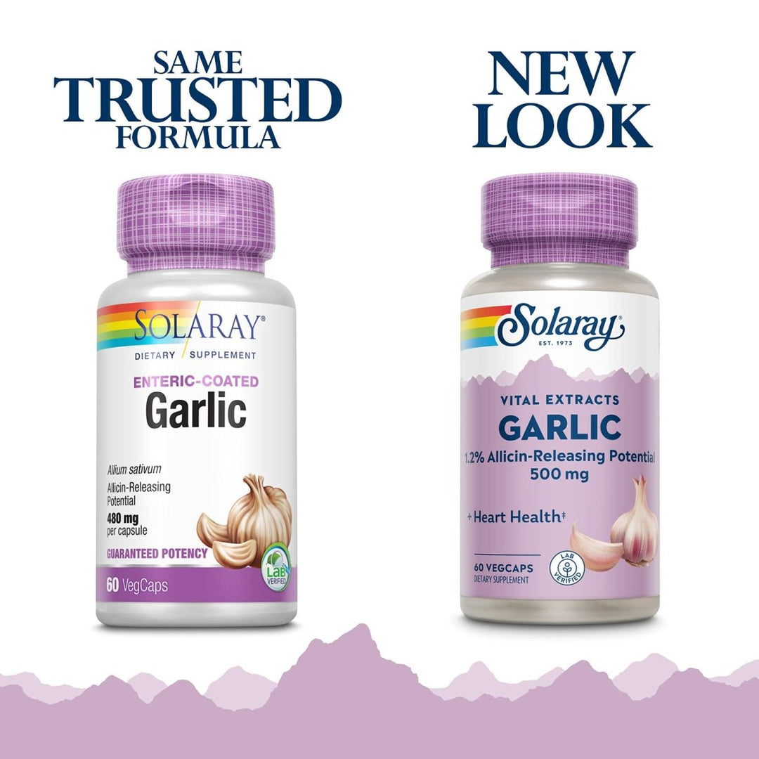 SOLARAY Garlic Supplement 500mg, Vegan, Odorless Garlic Extract, Traditionally Used for Heart Health and Immune Support, Vegan, Odor Free, Lab Verified, 60 Day Guarantee, 60 Serv, 60 Enteric VegCaps - The Oasis of Health