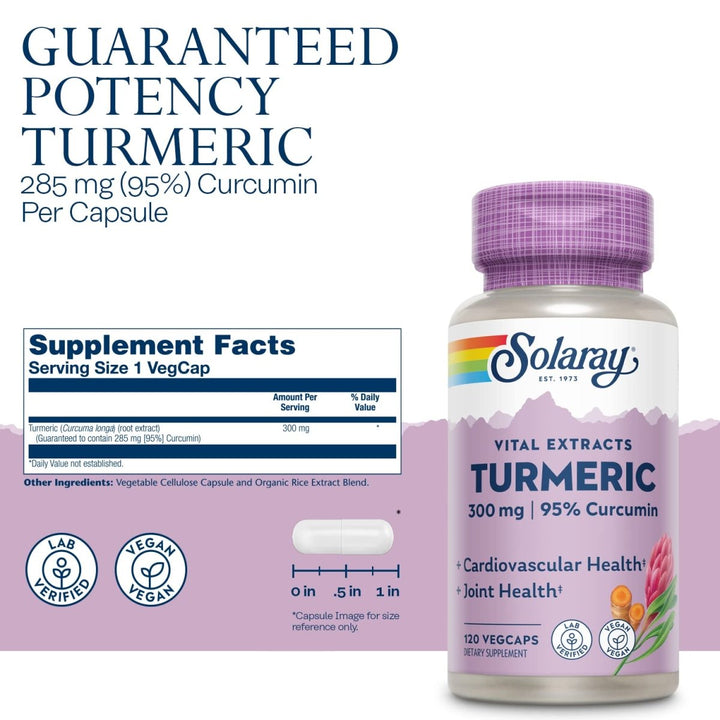 Solaray Guaranteed Potency Turmeric Root Extract 300 mg VCapsules, 120 Count - The Oasis of Health