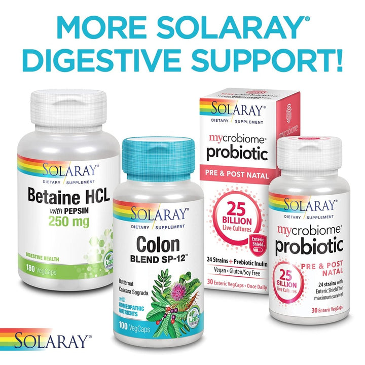 SOLARAY Gutshield Powder 150 Gram - The Oasis of Health