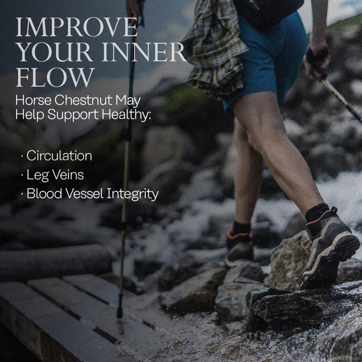 Solaray Horse Chestnut Seed Extract 400mg 72mg of Aescin Per Capsule Leg Vein Health, Blood Vessel Integrity & Health Circulation Support 60ct - The Oasis of Health