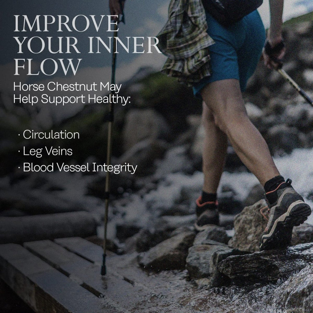 SOLARAY Horse Chestnut Seed Extract 400mg, Healthy Leg Vein, Blood Vessel & Circulation Support, 120 Serv, 120 VegCaps - The Oasis of Health