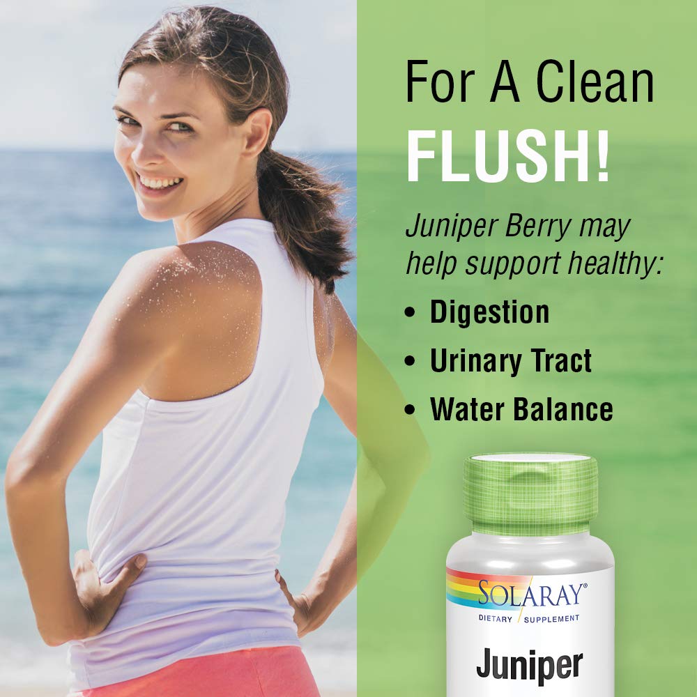 SOLARAY Juniper Berry 450 mg | Healthy Digestion, Cleansing & Water Balance Support | Antioxidant Activity | 100 VegCaps - The Oasis of Health