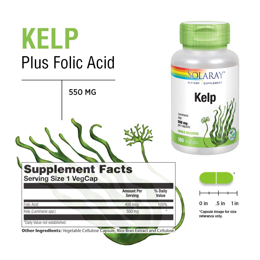 Solaray Kelp 550 mg with Folic Acid for Healthy Thyroid Function, Energy & Metabolism Support | Non - GMO | 180 VegCaps - The Oasis of Health