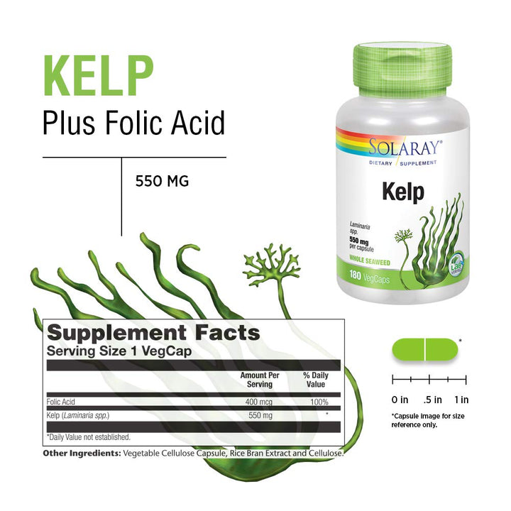 Solaray Kelp 550 mg with Folic Acid for Healthy Thyroid Function, Energy & Metabolism Support | Non - GMO | 180 VegCaps - The Oasis of Health