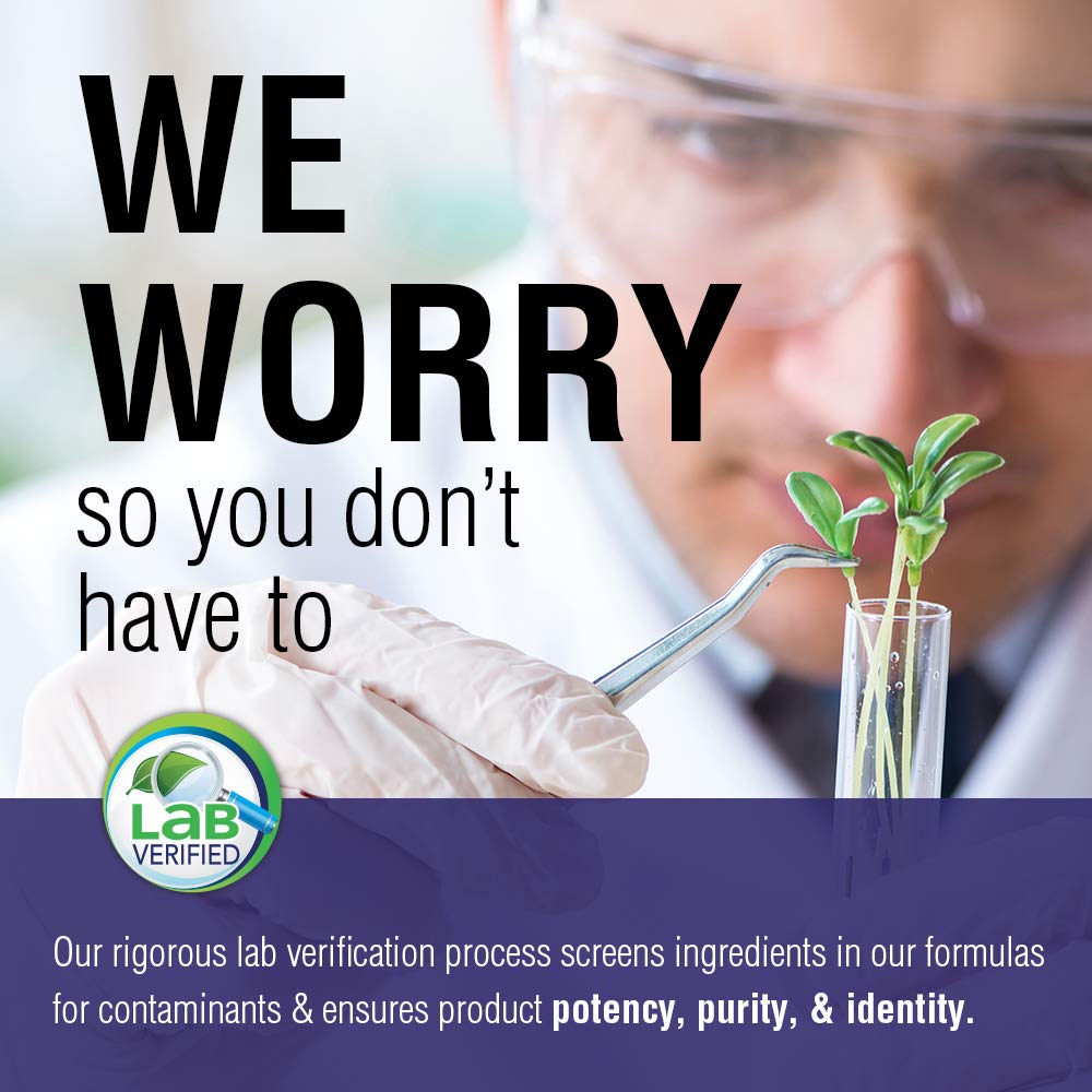 SOLARAY Liquid Black Elderberry Extract | Delicious, Healthy Immune System & Antioxidant Support | 24 Servings | 8 fl oz - The Oasis of Health