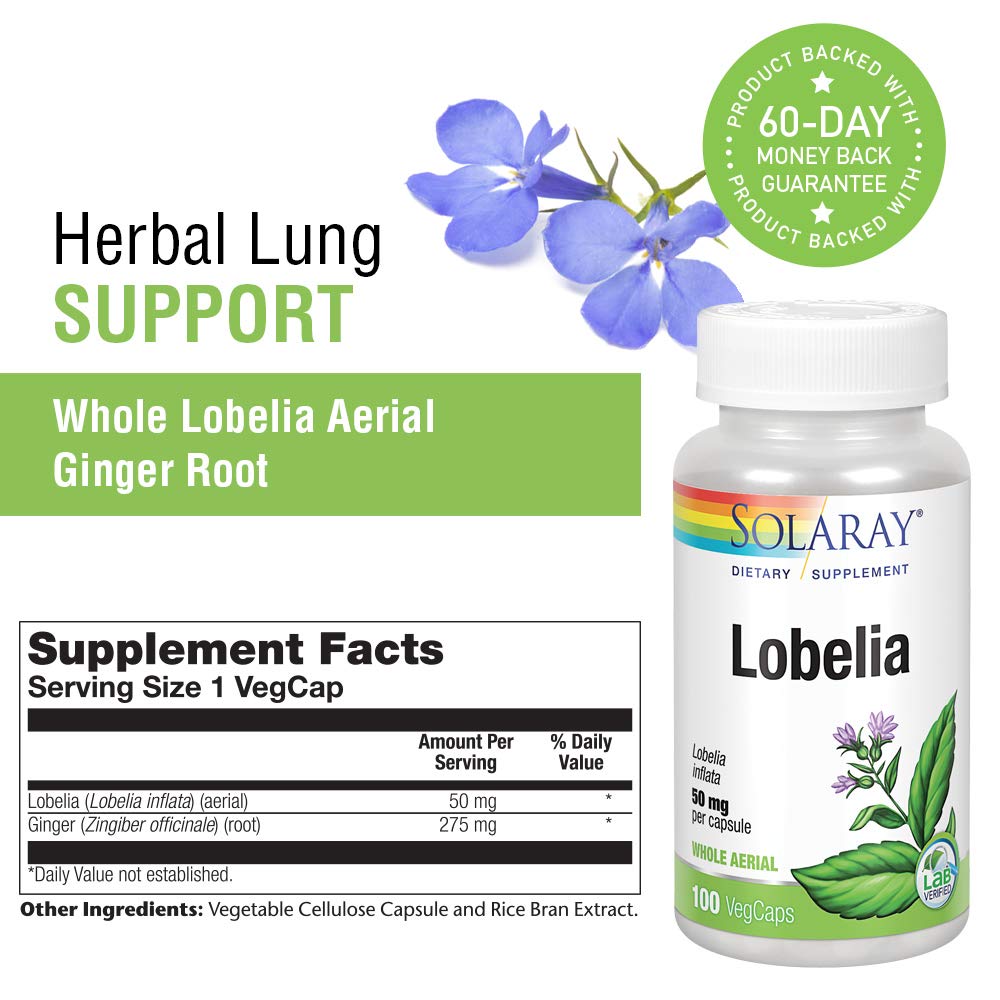 SOLARAY Lobelia Aerial 50mg | Healthy Respiratory and Bronchial Function Support | Ginger Root for Added Lung Support | Non - GMO & Vegan | 100 VegCaps - The Oasis of Health