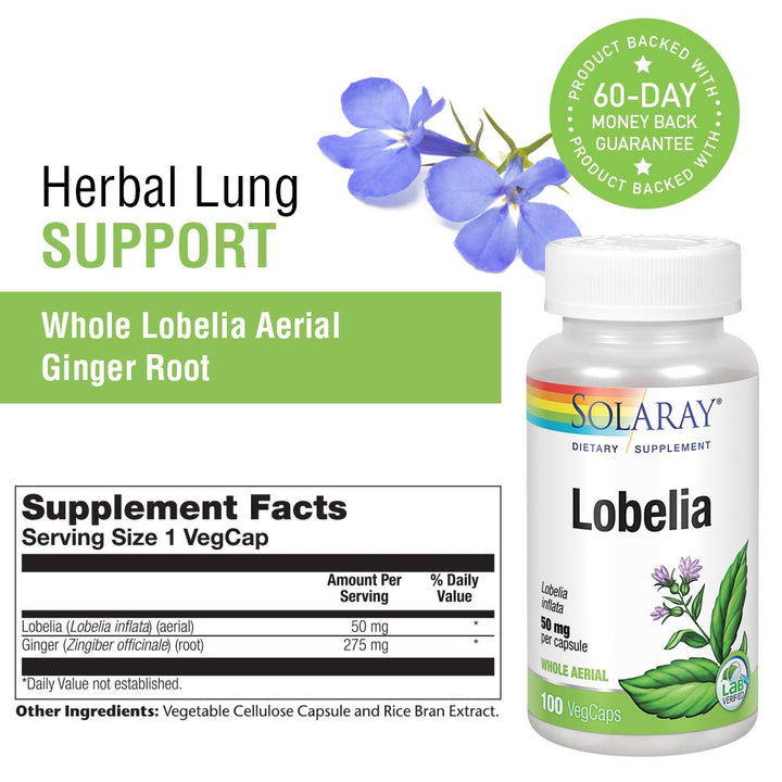 SOLARAY Lobelia Aerial 50mg | Healthy Respiratory and Bronchial Function Support | Ginger Root for Added Lung Support | Non - GMO & Vegan | 100 VegCaps - The Oasis of Health